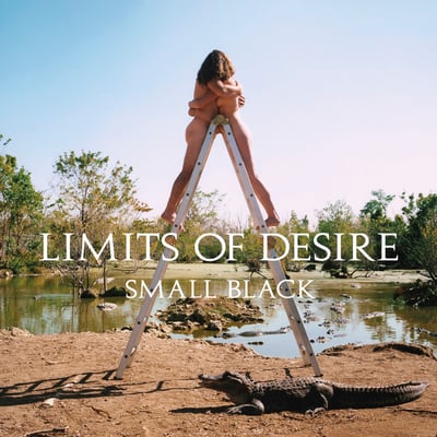 Small Black - Limits Of Desire (Jagjaguwar, JAG208) • LP