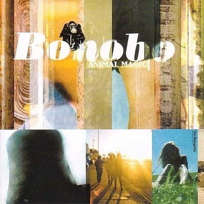 Bonobo - Animal Magic (Tru Thoughts, TRU LP 007) • 2xLP • yellow • 180 Gram, Limited Edition