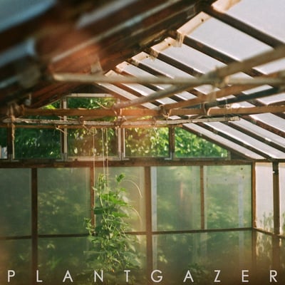 Show Me A Dinosaur - Plantgazer (AOP Records, AOP096LP) • LP • Kiwi marbled • NM/NM • Limited Edition, Reissue
