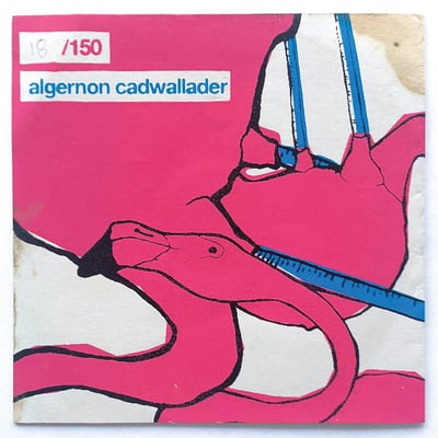Algernon Cadwallader - Algernon Cadwallader (Asian Man Records, AMR 343) • LP • Turquoise • NM/NM