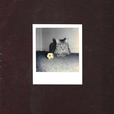 The Goalie's Anxiety At The Penalty Kick - Ways Of Hearing (Count Your Lucky Stars, CYLS110) • LP • Moo Cow (Black With White Splatter) • NM/NM