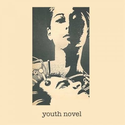 Youth Novel - Turned Around Abruptly Beside a Mirror and Jumped at My Own Reflection (Diaryland Records, DIARY004) • 12" • Clear • NM/NM