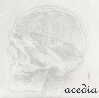 Acedia - The Swarms Will Come To Slaughter The Hogs (Copter Crash Records, CC004) • 7" • Clear • NM/NM