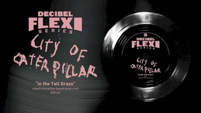 City Of Caterpillar - In The Tall Grass (Decibel Flexi Series, DB162) • 7" • Media VG+ • Limited Edition