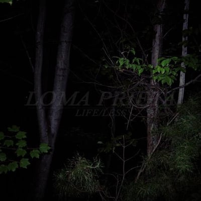 Loma Prieta - Life/Less (Discos Huelga, HUEL013) • 12" • NM/NM • Reissue, Repress