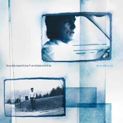 The World Is A Beautiful Place & I Am No Longer Afraid To Die - Dreams Of Being Dust (Epitaph, 7991-1) • LP • Iceberg Splash • NM/VG+