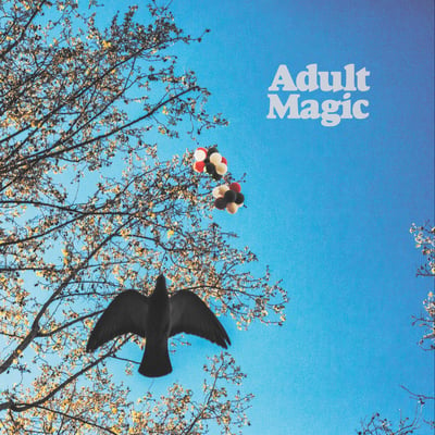 ADULT. - Misinterpreted (Ersatz Audio, EZ-016) • 12" • NM/NM