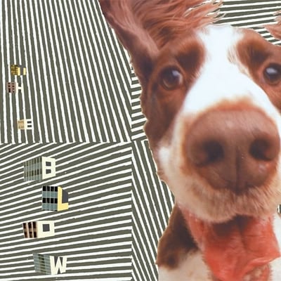 The Blow - The Concussive Caress, Or, Casey Caught Her Mom Singing Along With The Vacuum (K, KLP 153) • LP • VG+/VG+ • Limited Edition