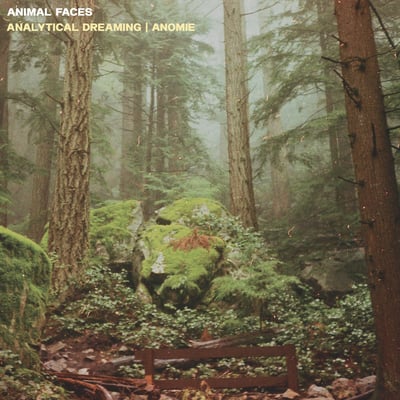 Animal Faces - Half Asleep (Not On Label (Animal Faces Self-released), none) • 12" • One sided • Sleeve NM