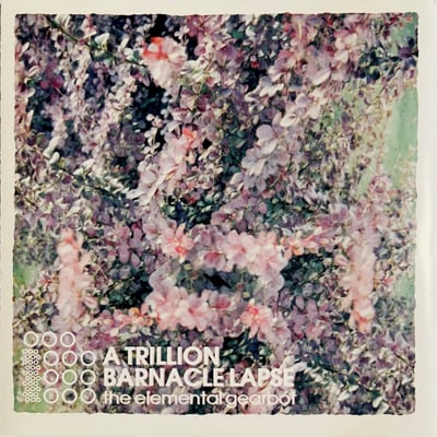 A Trillion Barnacle Lapse - The Elemental Gearbot (Nova Recordings, NOVA 019) • LP • NM/VG+