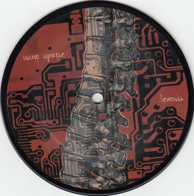 Usurp Synapse / Rep Seki - Murder Was The Case They Gave Me / Cipher In The Snow (Magister Ludi Records, MLR-006) • NM/NM • Picture Disc