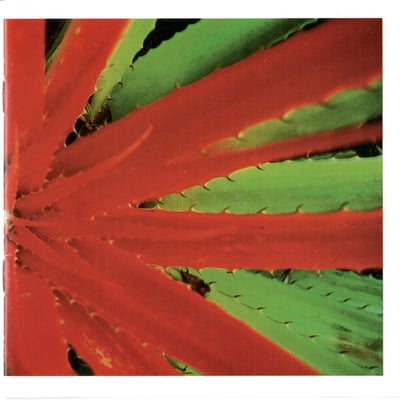 Jejune - This Afternoons Malady (Numero Group, 937) • 2xLP • NM/NM • Reissue, Remastered