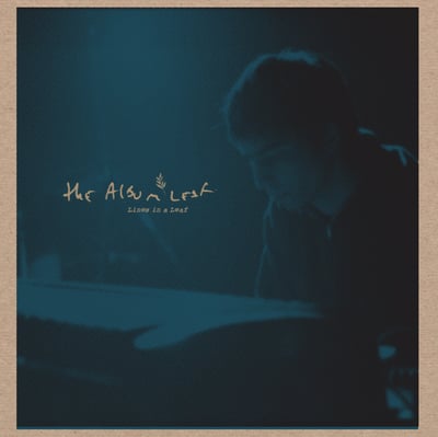 The Album Leaf - Lines In A Leaf (Numero Group, 953) • 12" • NM/NM • Limited Edition