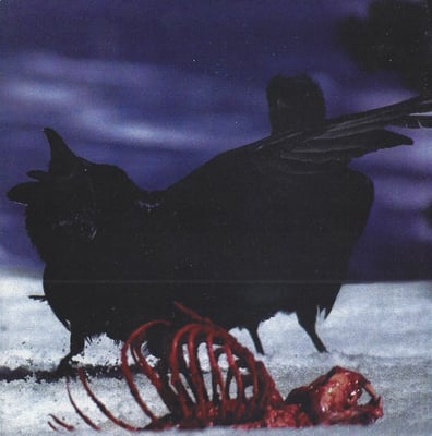 Waifle / The Anasazi - This Is A Party As Much As It Is A Funeral (Pensive, DIT-001) • NM/NM