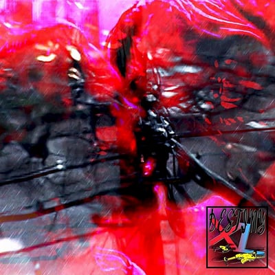 they are gutting a body of water - Destiny XL (Smoking Room, SR060) • LP • Black • NM/NM • Limited Edition, Repress