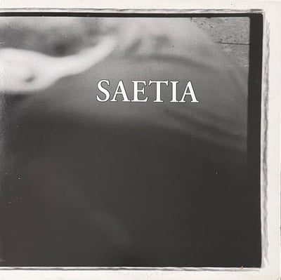 Saetia - Saetia (The Mountain Collective For Independent Artists, Ltd., MTN 19LP) • LP • NM/NM