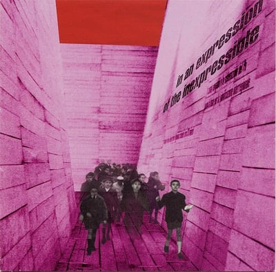 Blonde Redhead - In An Expression Of The Inexpressible (Touch And Go, tg196) • LP • NM/NM