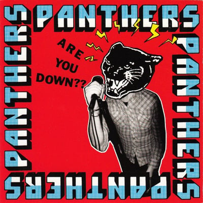 Panthers - Are You Down?? (Troubleman Unlimited, tmu99) • LP • VG+/NM