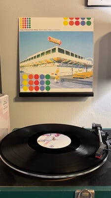 The Promise Ring - Nothing Feels Good (Jade Tree, JT1035) • LP • Reissue