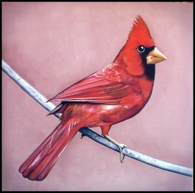Alexisonfire - Old Crows/Young Cardinals (First Press, Clear & Black Mix / Red & Black Mix) /515