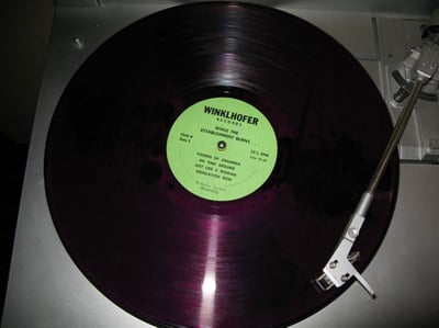 Bob Dylan – While the Establishment Burns | Winklhofer Records 1971 | Dark Purple LP | Bright Green Label