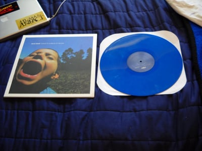 Have Heart-Songs to Scream at the Sun/Blue
