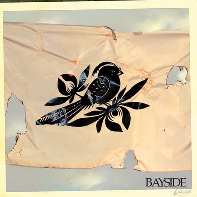 Bayside - The Walking Wounded (180 gram Pink Smoke /210)