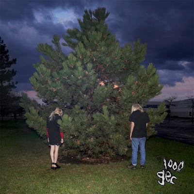100 Gecs - 1000 Gecs (Dog Show Records, MDS003V) · LP