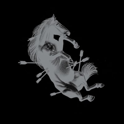 Touché Amoré - Dead Horse X (Condolences, CNDLNCS05) · LP · Black / Silver Pinwheel · M/NM