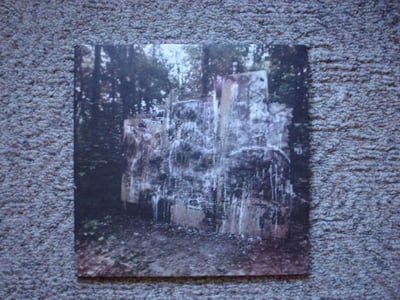 La Dispute - Wildlife (2xLP Dark Green & Clear) /750