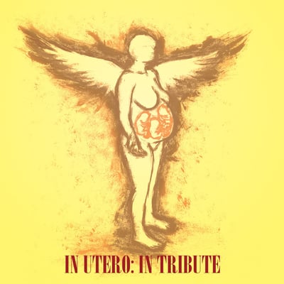 Various Artists - In Utero, in Tribute, in Entirety
