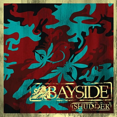 Bayside - Shudder (Victory Records, VR457) · LP · Grey W/ Black Marbling · Repress