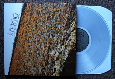 Stebmo - Stebmo [LP - coke bottle clear] - Invada - INV060LP
