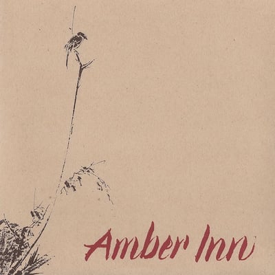 Amber Inn – Serenity in Hand (Ebullition Records, 1995)