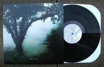 Owen - At Home with Owen [180g LP] - Polyvinyl Records - PRC-118-1