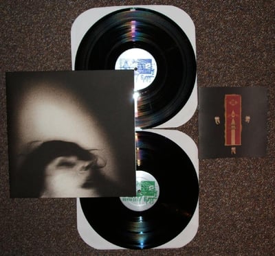 Set Fire to Flames - Telegraphs in Negative/Mouths Trapped in Static [2LP] - Alien8 - ALIENLP39