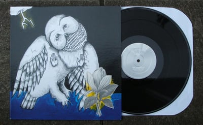 Songs: Ohia - The Magnolia Electric Co. [LP] - Secretly Canadian - SC076-LP