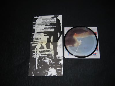 Locust , The / Jenny Piccolo - Split (5" Picture Disc)