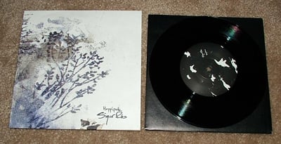 Sigur Ros - Hoppipolla [Black]