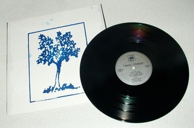 Navio Forge - As We Quietly Burn A Hole Into (Ebullition) [Black w/ Screenprinted Cover of 50]