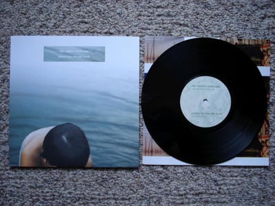 Pianos Become The Teeth/The Saddest Landscape - Split (Black) /500