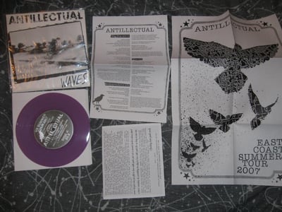 Antillectual - Waves | purple/500