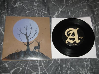 Auryn / Bosque - Split | Black /500