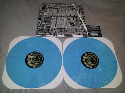Blink 182 - Neighborhoods - 2XLP Blue, /2000 - DGC Records