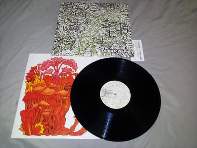Chad Vangaalen - Diaper Island - Flemish Eye Records