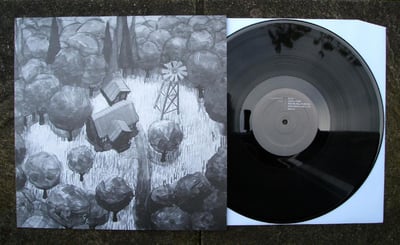 Peter Broderick - Home [LP] - Type - TYPE048V - /500