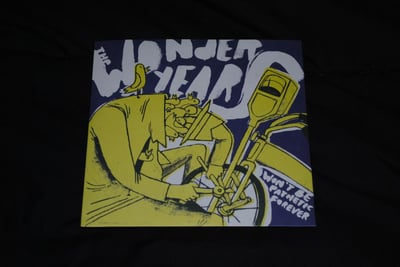 Wonder Years, The - Won't Be Pathetic Forever | (Pink - LT 500) [4th on No Sleep Records] *SOLD $10.00*