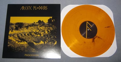 Arctic Flowers - Procession | Self-Released | clear gold