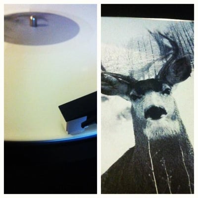 Veils - Clarity EP - White - /150 - Tangled Talk