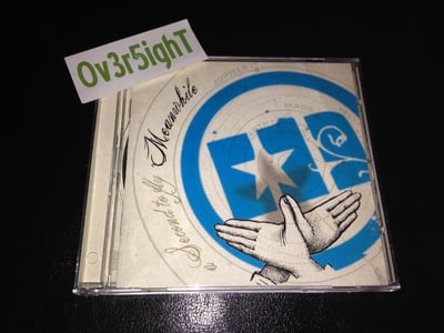 Meanwhile - A Second To Fly (2007) Wynona Records